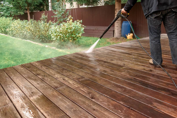 Animal Enclosure Cleaning in Newport Beach, CA